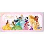  Mini прозрачный файл билет держатель Disney Disney Princess in блокировка 