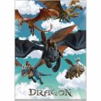  карман файл W карман прозрачный файл A4 фотография hik. Dragon in блокировка 