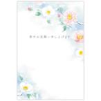  поздравительная открытка холод средний видеть Mai .6 листов ввод холод средний снег . Япония отверстие Mark открытка 