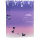  файл прозрачный файл A4 10 карман мир рисунок ...chou