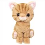 ぬいぐるみS ぬいぐるみ Kitten ネコ アメリカンショートヘア/ブラウン サンレモン 16.5cm CAT キャラクター 爆買