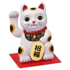  поздравительная открытка wafuWA4-5 японский стиль карта манэки-нэко Sanrio многоцелевой . покупка 