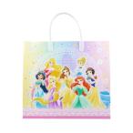 文房具セット ハッピーバッグ ディズニー ディズニープリンセス 新入学 サンスター文具