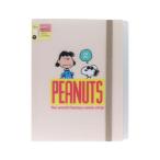  резинка есть прозрачный файл 5P+F A4 карман файл Snoopy komikaru scene z слоновая кость Sunstar канцелярские принадлежности Peanuts . покупка 