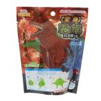 変身恐竜バスボール 入浴剤 恐竜 サンタン 子供とお風呂