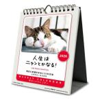 ショッピング卓上カレンダー 2026 Calendar 卓上カレンダー2026年 人生はニャンとかなる！ 卓上 壁掛 ねこ トライエックス 動物 写真
