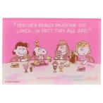  акрил магнит магнит Peanuts Snoopy FRIEND розовый корова . гарантия прикладное искусство фирма рефрижератор кухня 