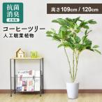 人工植物 観葉植物 光触媒 造花 植物 フェイクグリーン 鉢付き リビング 消臭 殺菌 防臭 コーヒーツリー 北欧 ドリス
