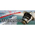  дом частного лица отправка возможность SARD Sard COOLING THERMO clean g Thermo SST03 Toyota Mark II серия JZX90 JZX100 JZX110 (19403)
