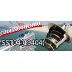  дом частного лица отправка возможность SARD Sard COOLING THERMO clean g Thermo SST04 Toyota Mark II Qualis MCV20W (19404)