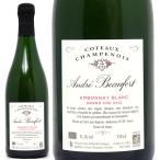 2012 Anne bonei качели to- автомобиль mpnowag разряд ryu750ml Andre bo- four ru Champagne белый kok..^B0JBCB12^