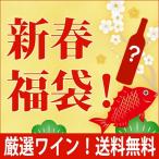 ショッピング無料 福袋 S02 送料無料 常識破り！サンテミリオン特別級入り！しかもすべてパーカー９０点越えの超大物ばかり赤４本セット 大人気 ^W0SHP2SE^