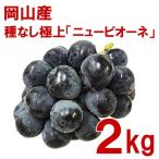  заказ ..14 дней в течение отправка Okayama производство * вид нет [ новый pio-ne] первоклассный превосходящий товар 2kg 3~5. в коробке ограниченное количество Okayama префектура Niimi город . много производство . месяц ...^YYNP01B2^