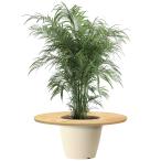 [45cm] VeroMan растения стол pot стол декоративное растение цветочный горшок . разместить на . стол сборка тип интерьер кофе стол Circle 