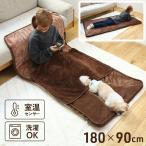 ショッピング寝袋 電気毛布 敷き毛布 敷き 電気寝袋 ホットゴロ寝マット カバー付き 180×90cm 約1畳用 洗える 洗濯できる ダニ退治 温度調整 MM-K18CTR モリタ