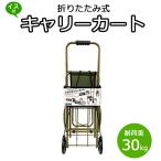 キャリーカート イス付き 折りたたみ ショッピングカート 軽量 カート オリーブグリーン U-Q838 耐荷重 30kg  荷物 運搬 荷台