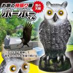 fu... птица .. птица избежать товары голубь .. садоводство . птица удаление .. сова двор поле украшение птица избежать веранда ..kalas избежать - to. . голубь szme....