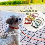  простой ошейник красочный все 8 цвет модный собака кошка . прогулка кожзаменитель кожа способ коврик одноцветный домашнее животное девочка мужчина стандартный Lead выход emilystyle