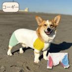 30%OFFセール 犬服 ドッグウェア VERY 接触冷感 濡らして冷たい カラーブロッククールカバーオール 夏 春 夏服 コーギー 安い 可愛い ロンパース 2024SS