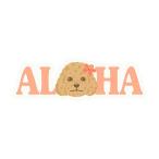 игрушка пудель стикер aro - рисунок водонепроницаемый da ikatto Гаваи Hawaiian смешанные товары America american собака to Ipooh наклейка 