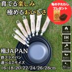 RIVER LIGHT 鉄製フライパン リバーライト 極JAPAN フライパン 