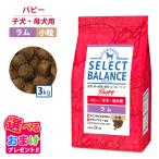  select баланс papi- Ram маленький шарик 3kg. собака . собака для корм для собак собака собака . собака домашнее животное здоровье обобщенный питание еда 