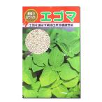野菜の種/種子　エゴマ えごま （白）　20ml　（メール便発送）