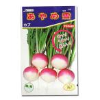 野菜の種/種子 あやめ雪・カブ 3ml（メール便発送）サカタのタネ 種苗