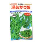 野菜の種/種子　湯あがり娘・えだまめ 枝豆　100粒（