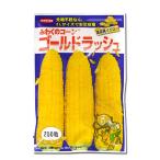 野菜の種/種子 ゴールドラッシュ・とうもろこし トウモロコシ 200粒(メール便発送)サカタのタネ 種苗 【12月下旬頃より発送】