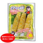 ショッピングとうもろこし 【売れてます！】野菜の種/種子　甘々娘・とうもろこし・トウモロコシ　かんかんむすめ　約200粒　（メール便発送）