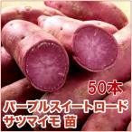 [ время ограничено!20%OFF!Y3,320-Y2,656] овощи. рассада лиловый сладкий load * батат Satsuma satsuma рассада батат imozuru50 шт. входит .