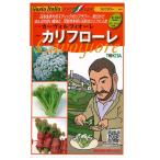  овощи. вид / семена kali поток re* машина vorufi ole Италия овощи 50 шарик ( почтовая доставка отправка )