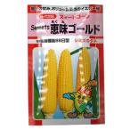 野菜の種/種子　Sweets 恵味ゴールド　とうもろこし 約200粒　（メール便発送）