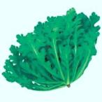 野菜の種/種子 菊次郎 春菊・シュンギク 1L（大袋）タ