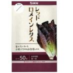 野菜の種/種子　レッ