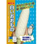 ショッピング最安値 【大特価！最安値に挑戦！】野菜の種/種子　ホワイトレディー 白いおおもの・とうもろこし トウモロコシ　2000粒 （大袋）ナント種苗