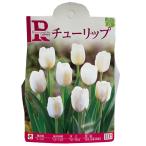  цветок * луковица тюльпан [ белый ] 10 лампочка входить обоснованный Gulliver серии [ осень .. луковица ]takii вид рассада . покупка 