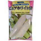 野菜の種/種子 ピュアホワイトSP・とうもろこし 2,000粒 雪印種苗(大袋)【2025年1月下旬頃より発送予定】