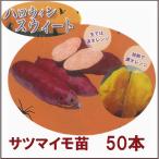  Halloween Suite *PVP регистрация товар вид батат рассада батат рассада батат imozuru50 шт. входит 