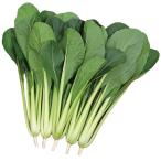 野菜の種/種子 さくらぎ・コマツナ 小松菜 こまつ菜 2