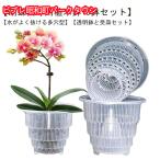 透明 胡蝶蘭専用 通気性抜群 胡蝶蘭専用 胡蝶蘭の植え替え 根腐れ防止 多穴型 鉢 受皿付き 直径12cm 直径15cm 植木鉢 プラスチック おしゃ