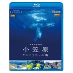 世界自然遺産 小笠原 〜ボニンブルーの海〜 ブルーレイ ビコムストア