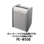 JVC портативный беспроводной усилитель PE-W50B ( корпус только ) базовая модель усилитель встроенный динамик портативный звук Victor Kenwood KENWOOD бесплатная доставка 