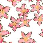 ポーセラーツ 転写紙 花柄 PINK PLUMERIA (ピンクプルメリア) (無くなり次第終了)