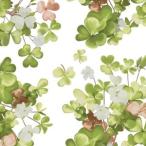 ¥Ý¡¼¥»¥é¡¼¥Ä ž¼Ì»æ ¥ê¡¼¥Õ - CLOVER (¥¯¥í¡¼¥Ð¡¼)