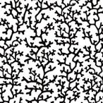 ショッピング無くなり次第終了 ポーセラーツ 転写紙 マリン CORAL PATTERN (コーラルパターン/珊瑚・ブラック) （無くなり次第終了）