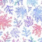  Poe погреб tsu транскрипция бумага морской WATER CORAL ( вода коралл / коралл /..)