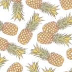 ポーセラーツ 転写紙 フルーツ PINEAPPLE (パイナップル)（無くなり次第終了）