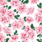 ポーセラーツ 転写紙 花柄 FRINGE ROSE (フリンジローズ) (無くなり次第終了)